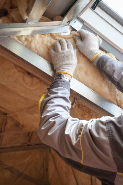 Best Insulation Maintenance and Repair in Hales Corners, WI