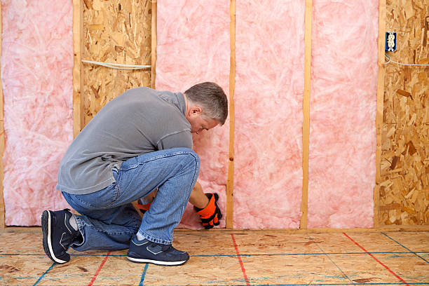 Best Specialized Insulation Services in Hales Corners, WI