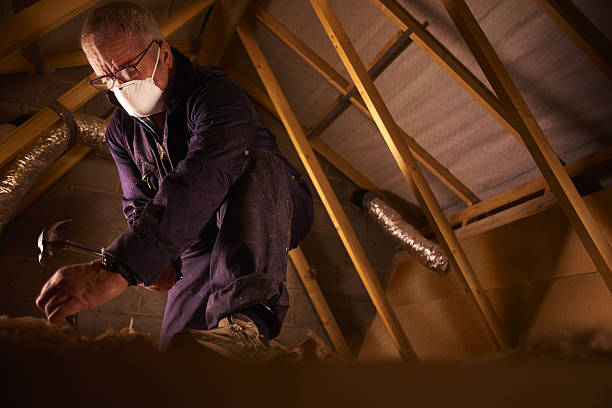 Types of Insulation We Offer in Hales Corners, WI